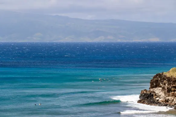 Casino Two Fat Ladies Bingo Soporte